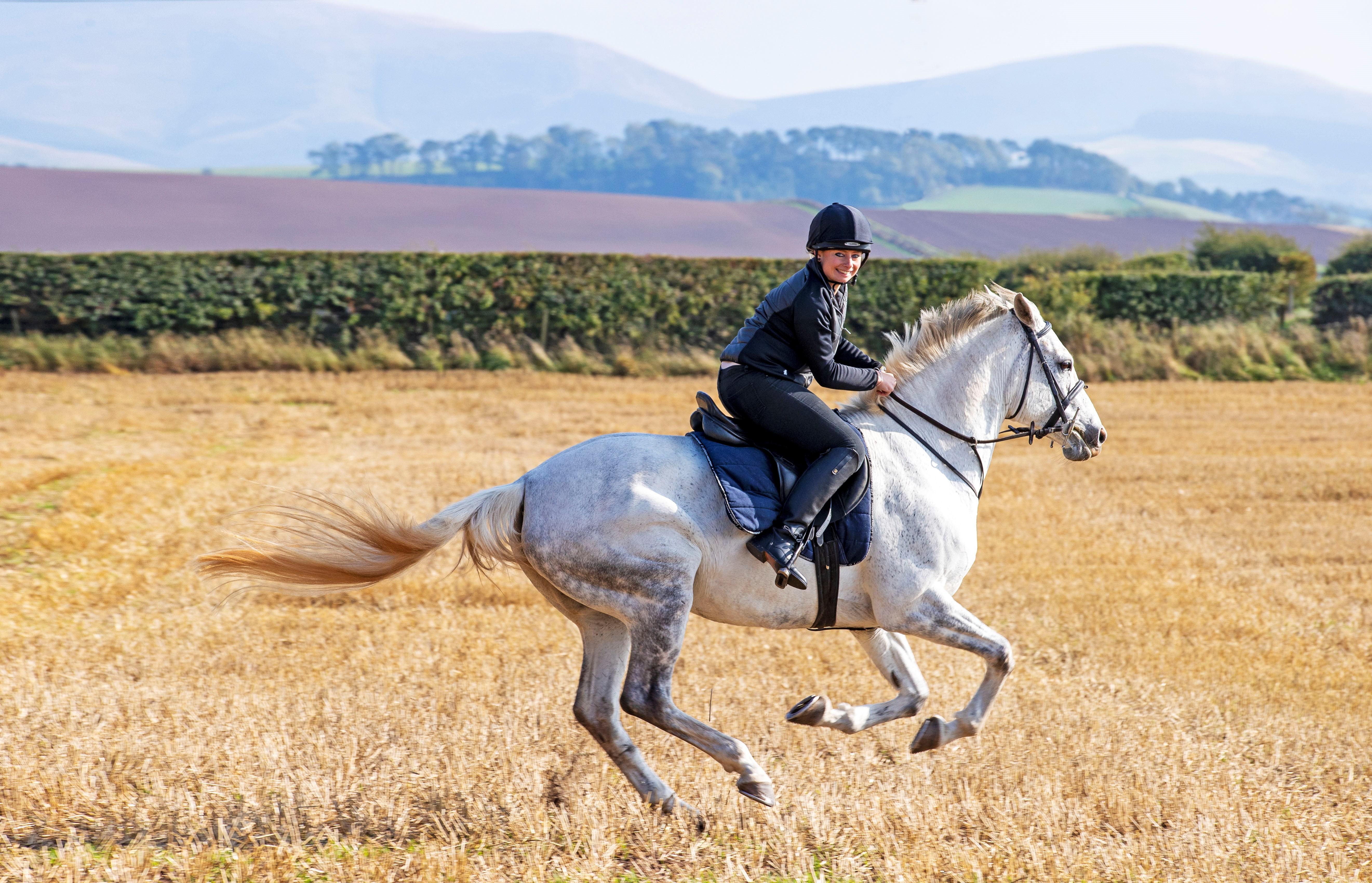 Schloss Roxburghe, Part Of Destination By Hyatt Luaran gambar A rider on a purebred Spanish horse